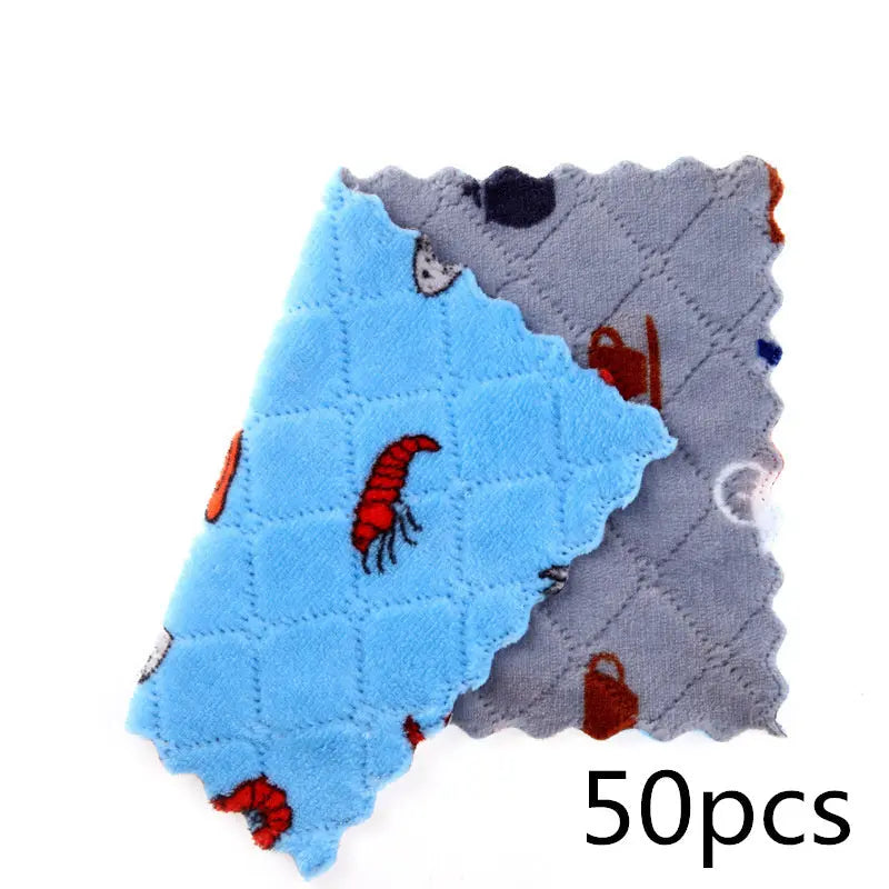Double-sided Thickened Coral Fleece Household Scouring Pad El Pazar