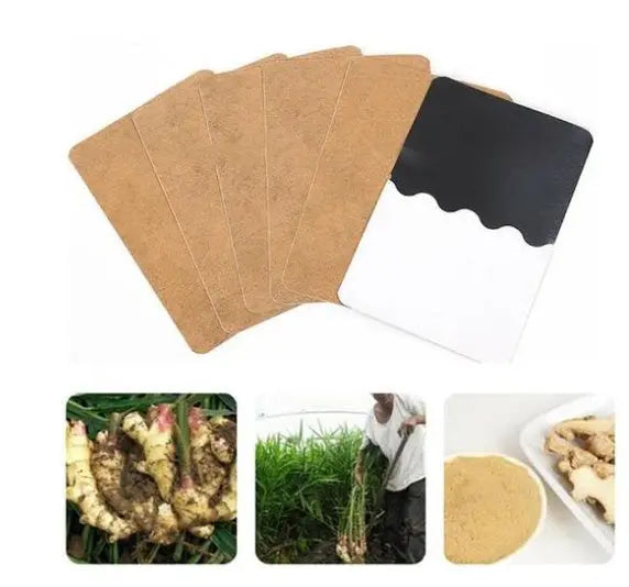 Heat moxibustion navel cervical spine warm body heating stick knee ginger paste fever warm joint joint cold stickers genuine El Pazar