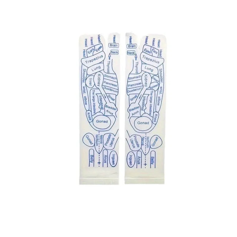 Meridian Socks Acupoint Massage Label Socks English Version El Pazar