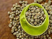 17/1 Screen Size Brazilian Arabica Coffee – High-Quality Beans