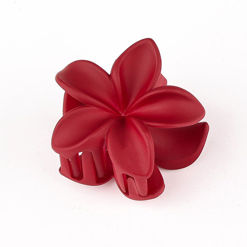 Retro Sweet Hair Claw Clip Women's Side Grip El Pazar