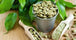 Brazil Green Coffee Beans 17/1 – Bulk Supply