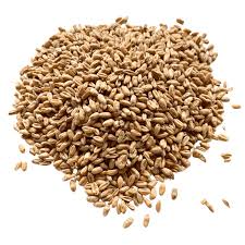 Export-Grade Tanzanian Wheat – Bulk Supply Available