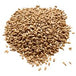 Export-Grade Tanzanian Wheat – Bulk Supply Available