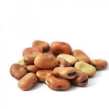 Nutritious Beans – Rich in Protein, Fiber & Flavor