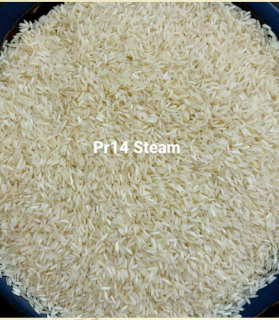 PR 14 Steam Non-Basmati Rice – Economical, High-Performance Grain 