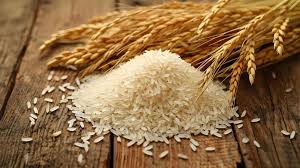 Premium Rice Grains – High-Quality Export Grade | Origin: Thailand
