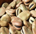 Premium Tanzanian Beans – Fresh, Nutritious &amp; Flavorful