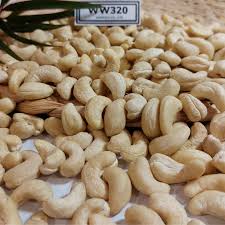 Premium Tanzanian Cashew WW320 – Finest Quality &amp; Exceptional Taste