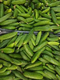 Syrian Cucumbers – Premium Fresh Cucumbers for Export