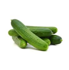 Syrian Cucumbers – Premium Fresh Cucumbers for Export