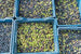 Syrian Olives – Premium Fresh & Processed for Export Golden Olive