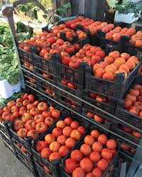 Syrian Tomato – Fresh, Flavorful, and Sun-Ripened