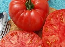 Syrian Tomato – Fresh, Flavorful, and Sun-Ripened