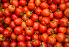 Syrian Tomato – Fresh, Flavorful, and Sun-Ripened