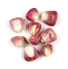 Tanzanian Red Corn – Premium Quality Maize for Global Markets