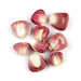 Tanzanian Red Corn – Premium Quality Maize for Global Markets