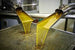  Unrefined Sunflower Oil – High Oleic & Nutrient-Rich