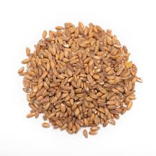 Wholesale Tanzanian Wheat – Natural and Non-GMO