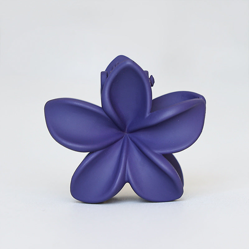 Retro Sweet Hair Claw Clip Women's Side Grip El Pazar