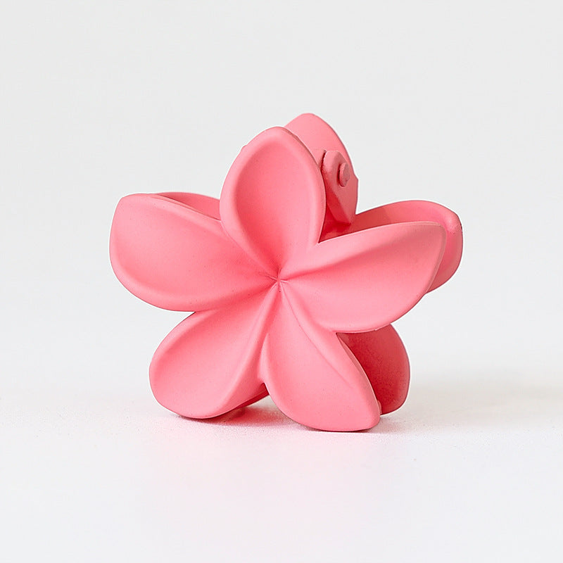Retro Sweet Hair Claw Clip Women's Side Grip El Pazar