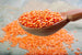Premium South African Red Lentil – Nutritious, Pure and Versatile - One Ton - El Pazar